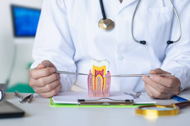 Best Urgent Dental Care for Toothache in Lone Grove, OK